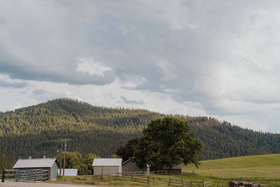 300 Acres