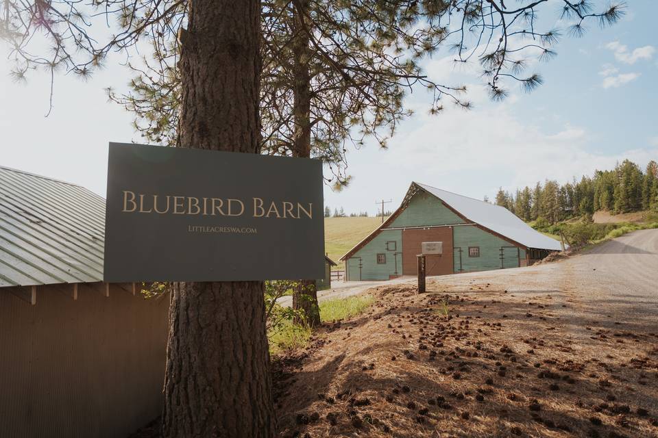 Bluebird