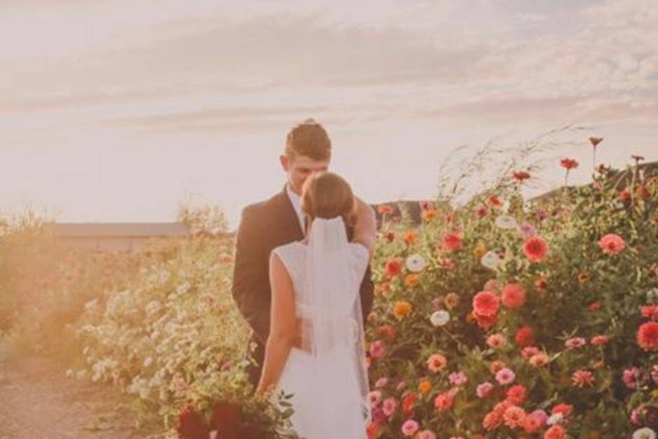 Bluebird Meadows Venue