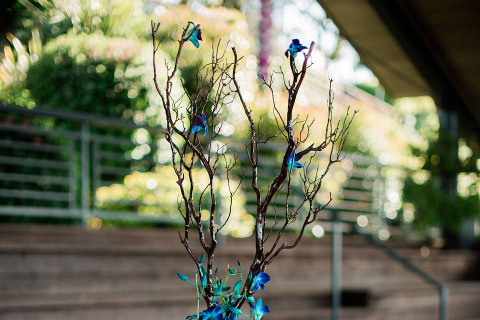 Manzanita centerpiece