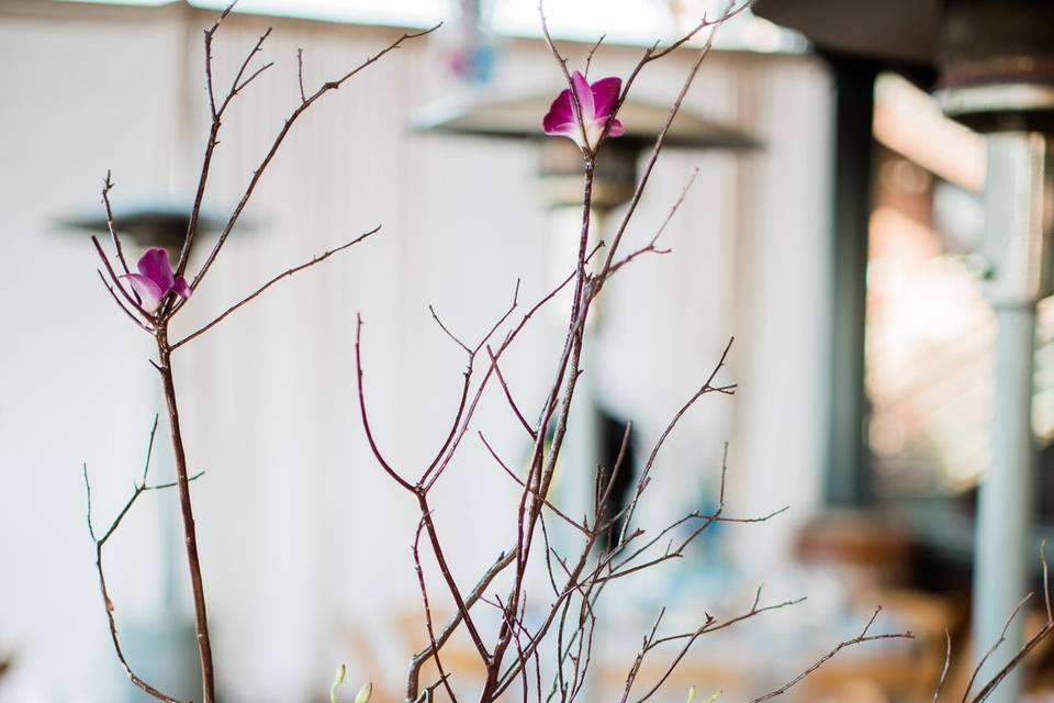 Manzanita centerpiece