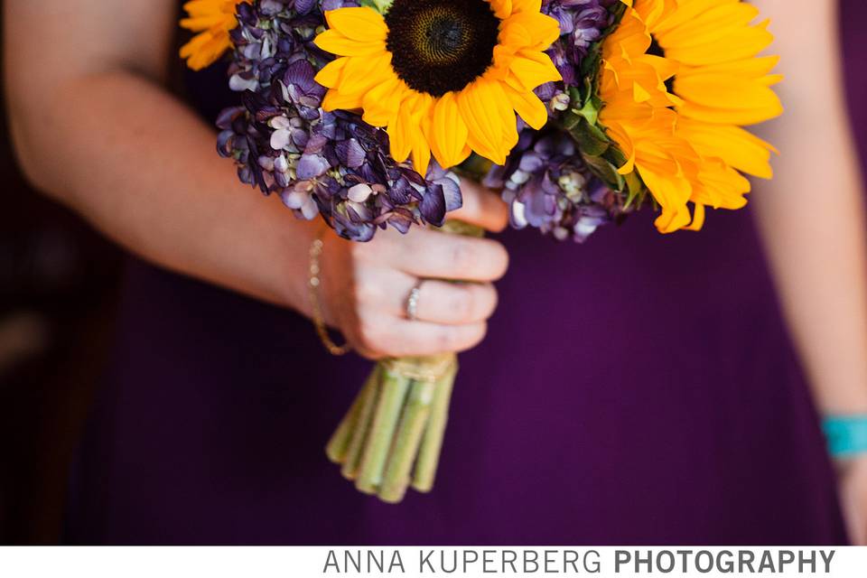 Purple and Yellow in SF