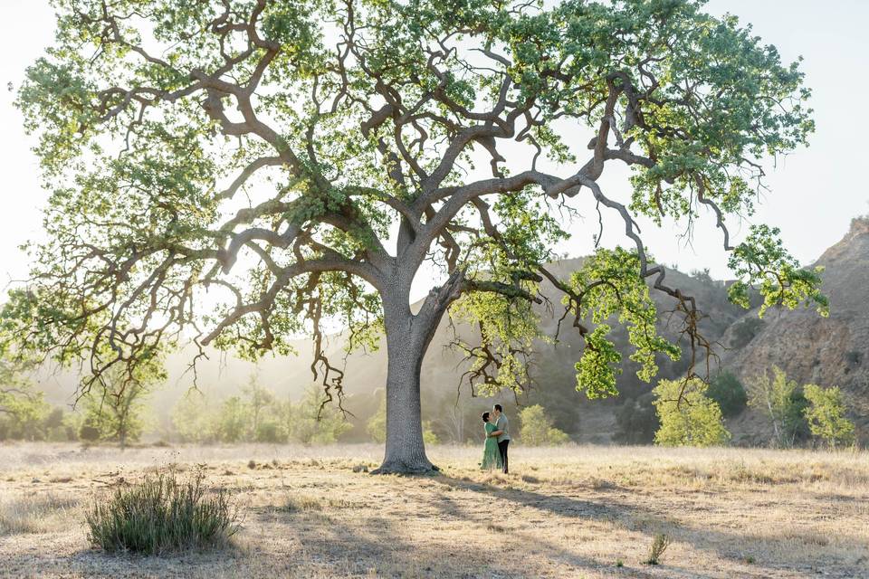 Malibu Creek State Park