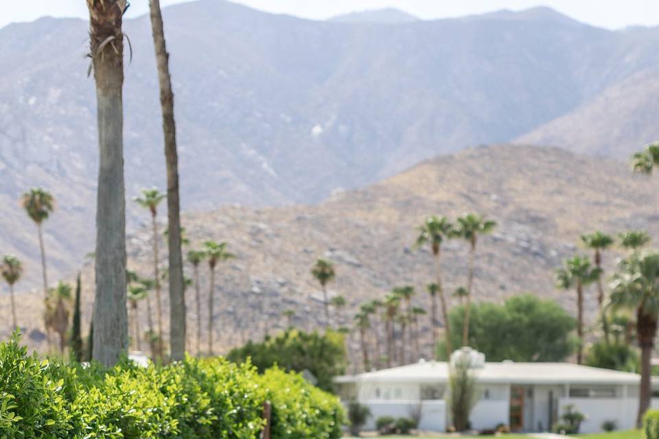 Palm Springs Engagement