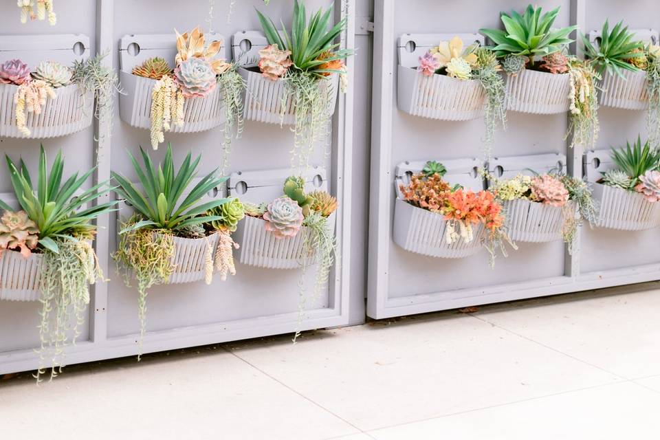 Succulent Wall