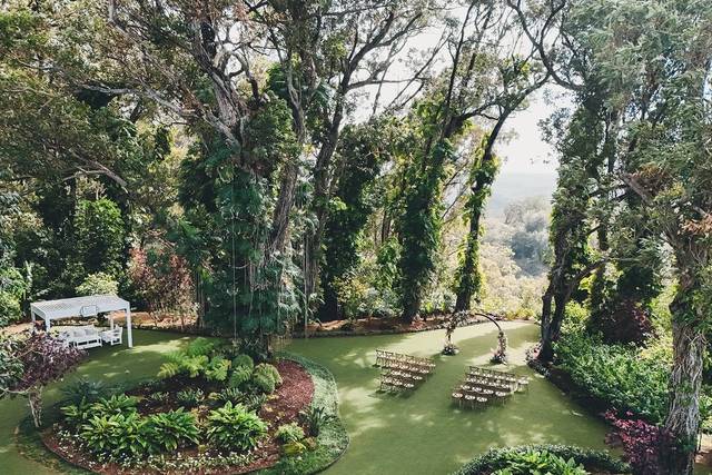 Fern's Garden