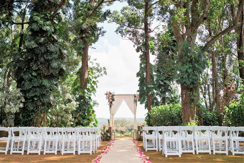 Fern's Garden ceremony