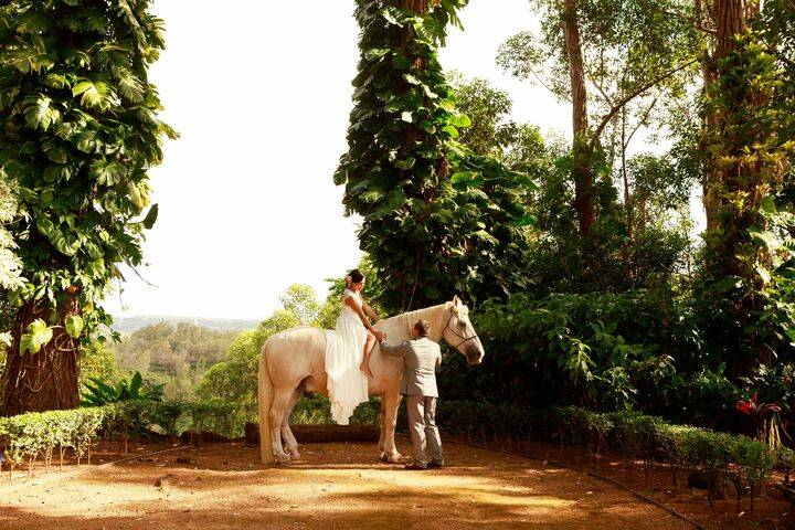 Sunset Ranch Hawaii