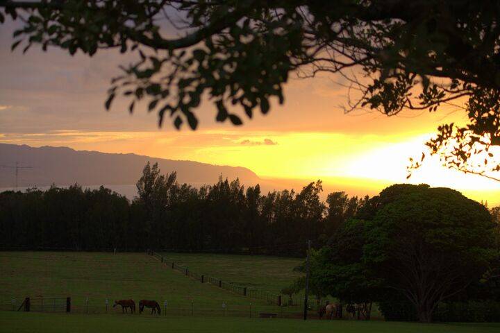 Sunset Ranch Hawaii