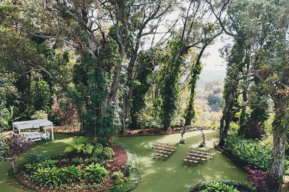 Fern's Garden