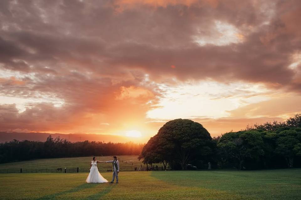 Sunset Vista
