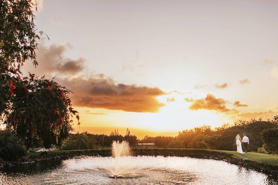 Charlie's Pond
