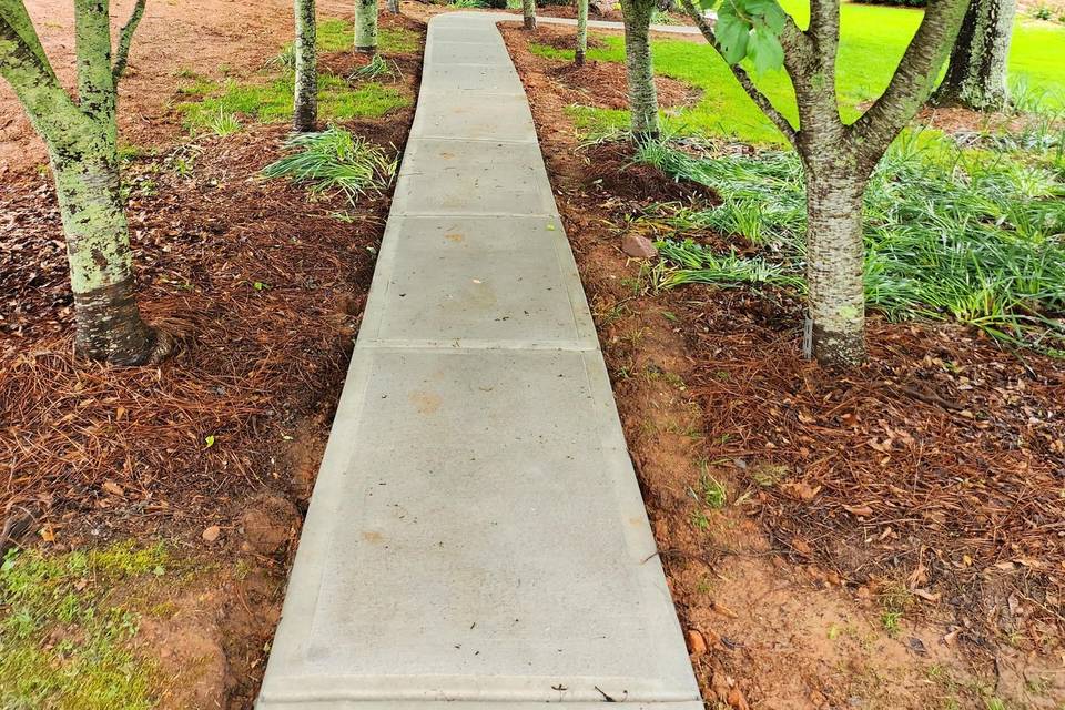 Cherry tree pathway