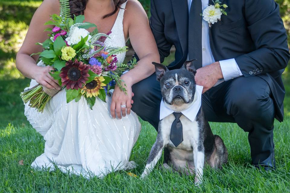 Guest of Honor