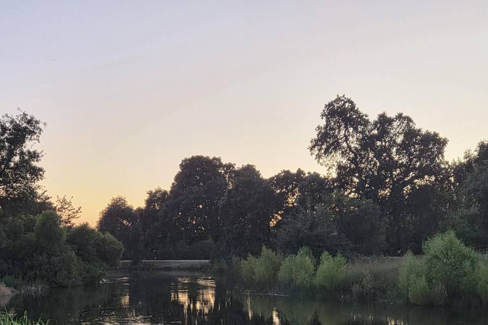 20260623_203736.jpg
