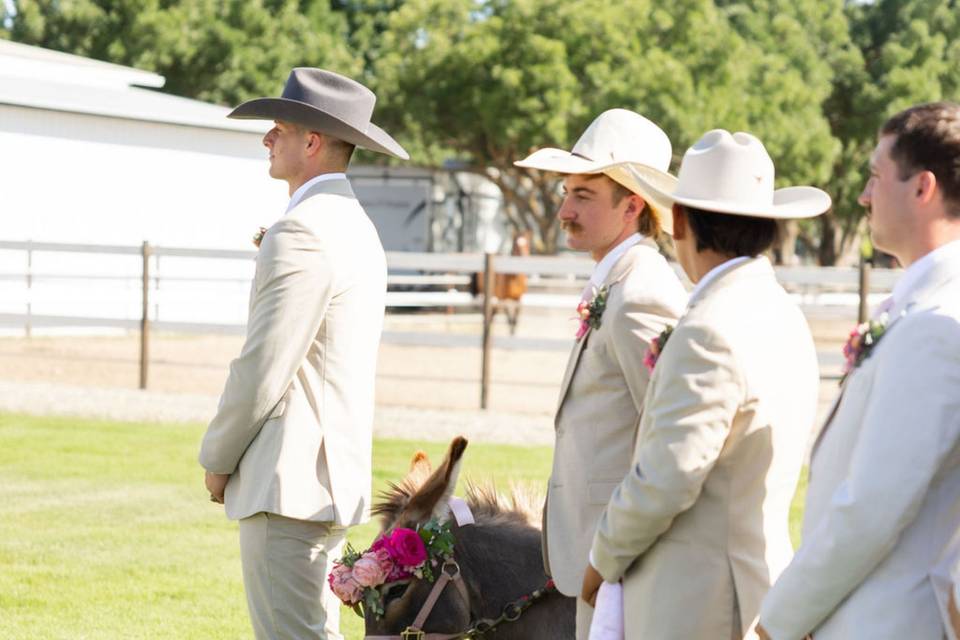 imresizer-Maddasin&Gavin'sWedding-854.jpg