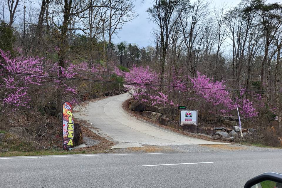 Winery Entry