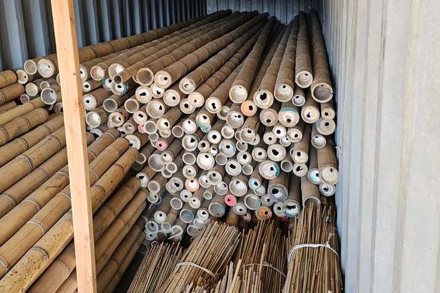Bamboo for building