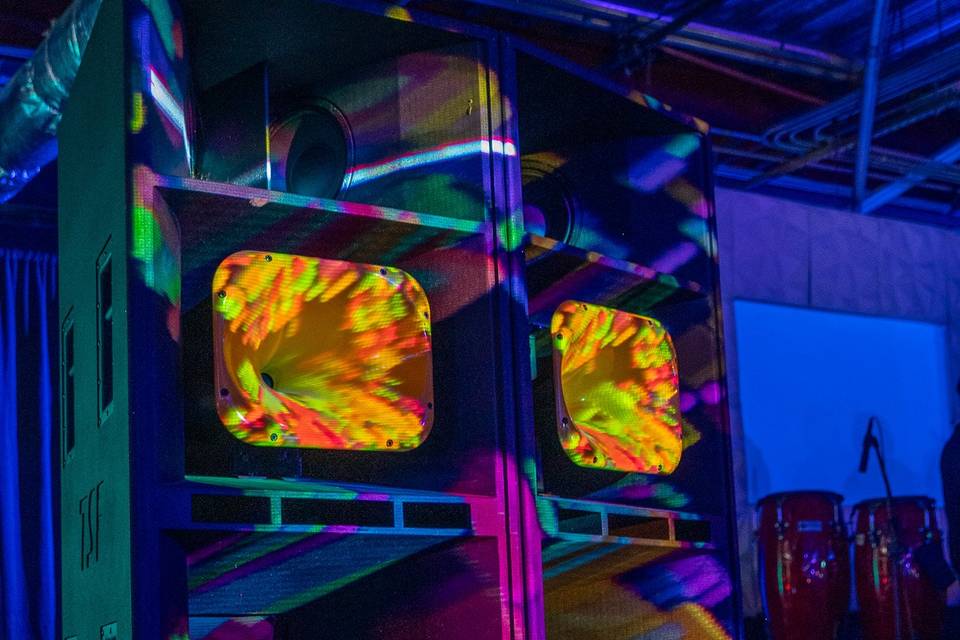 Close up projection queen bees