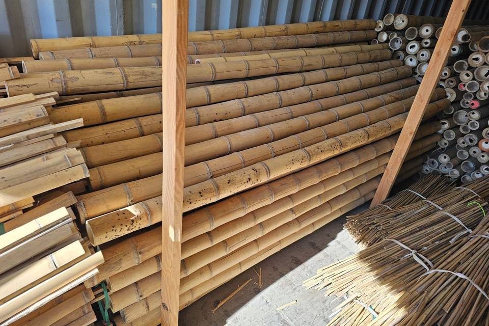 Bamboo for building