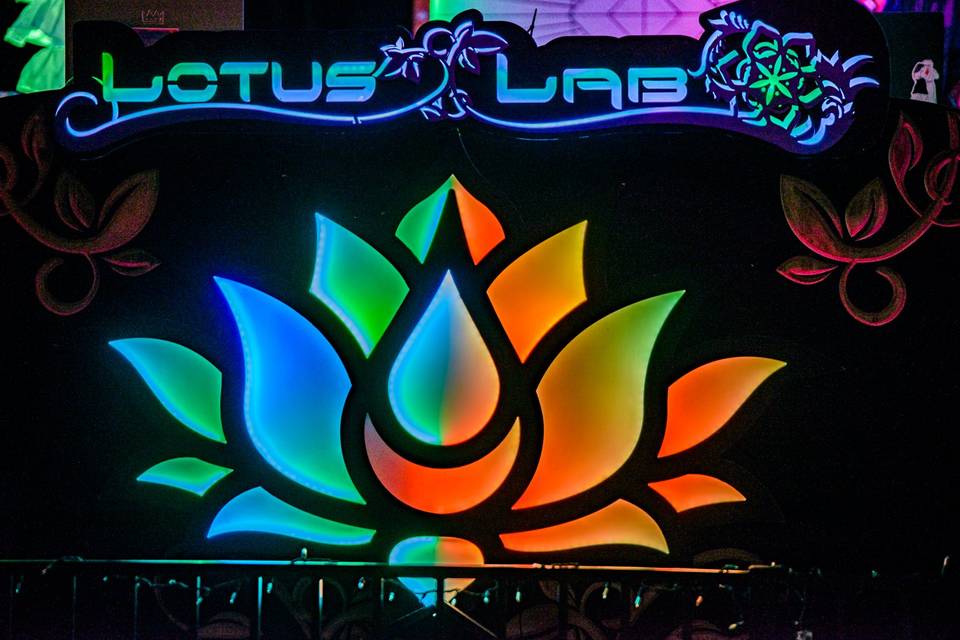 Close up lotus lab