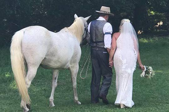 Newlyweds and the horse