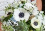 Esthetics by Paula