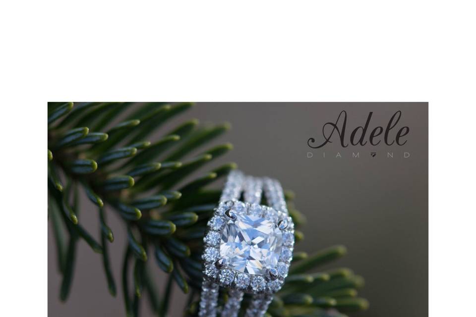 Adele Diamond