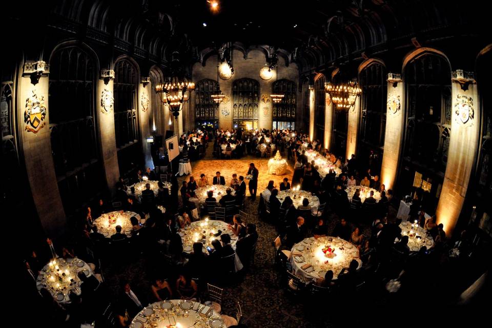 Uplighting and pin spot lighti