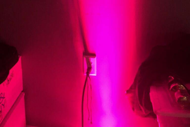 Pink lights