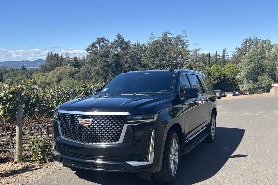Limo Cadi 3.jpg