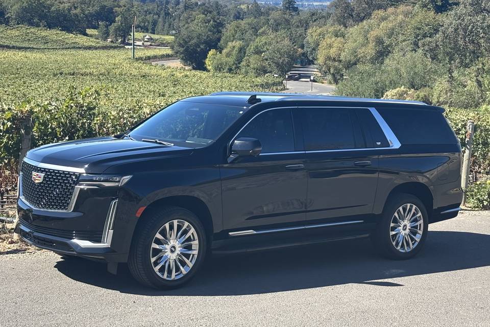 Impressive limo