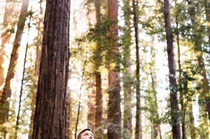 Redwoods Forest Wedding