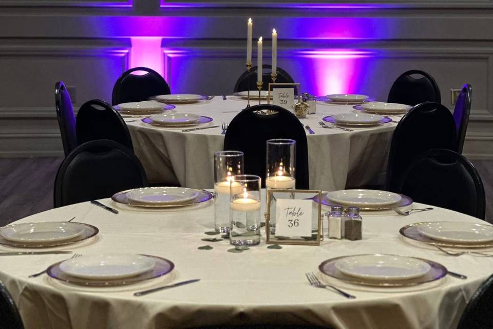 Custom Lighting & Projector