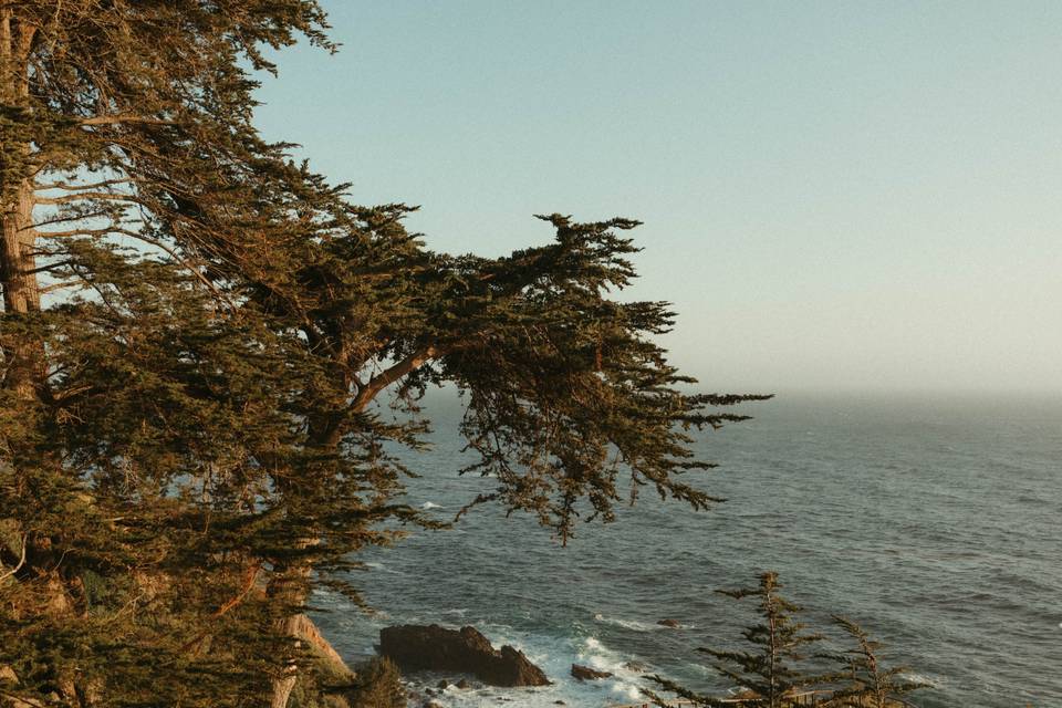 Big Sur Wedding