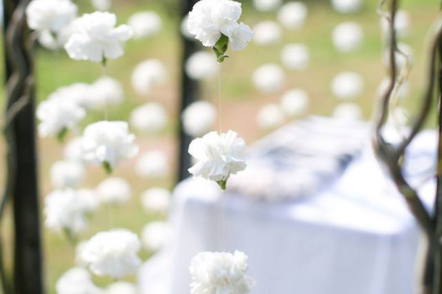 Snowdrop Flowers