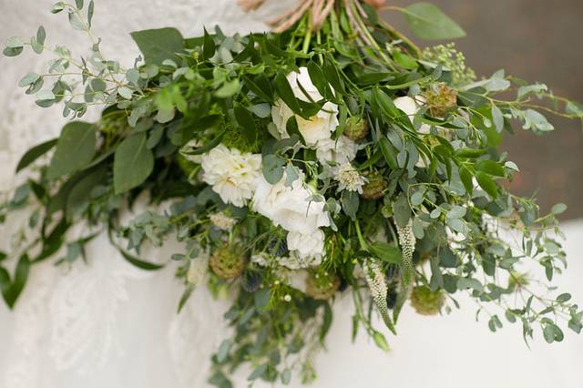 Snowdrop Flowers