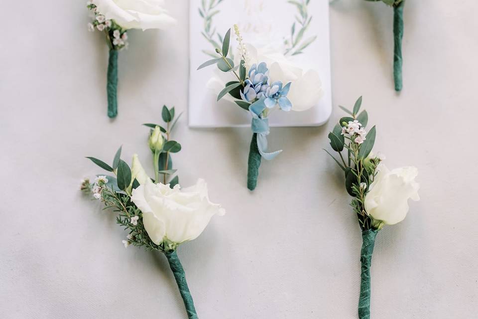 Snowdrop Flowers