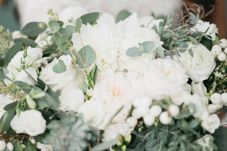 Snowdrop Flowers