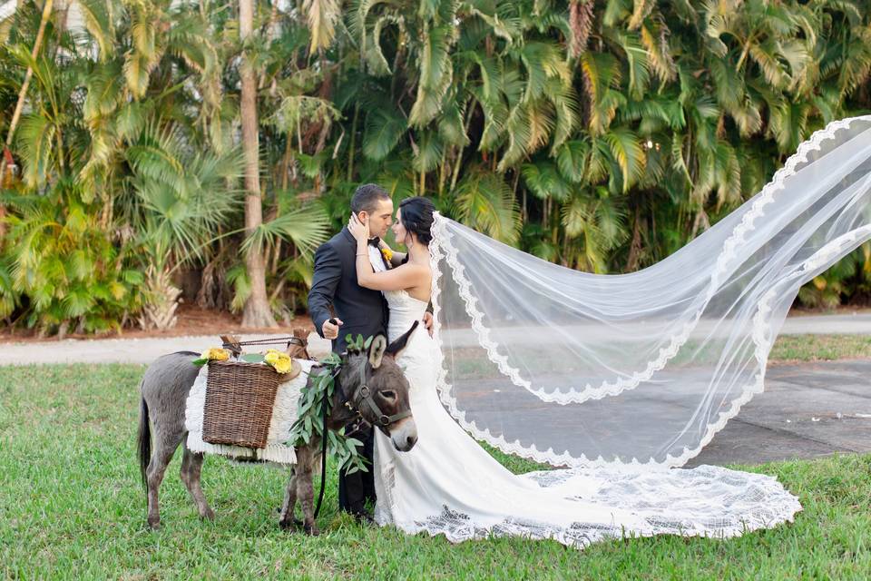 Tropical Wedding