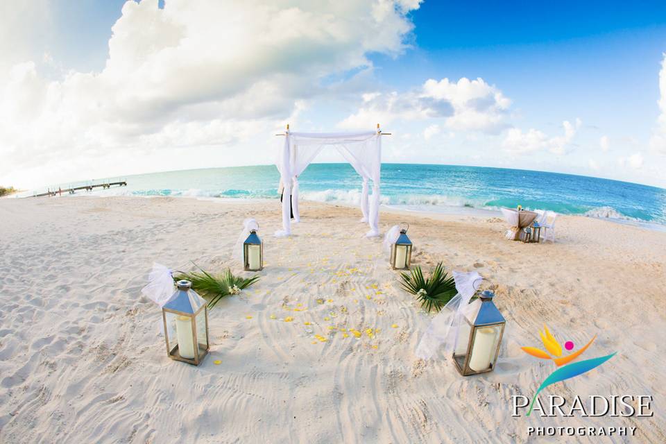 Wedding beach arch