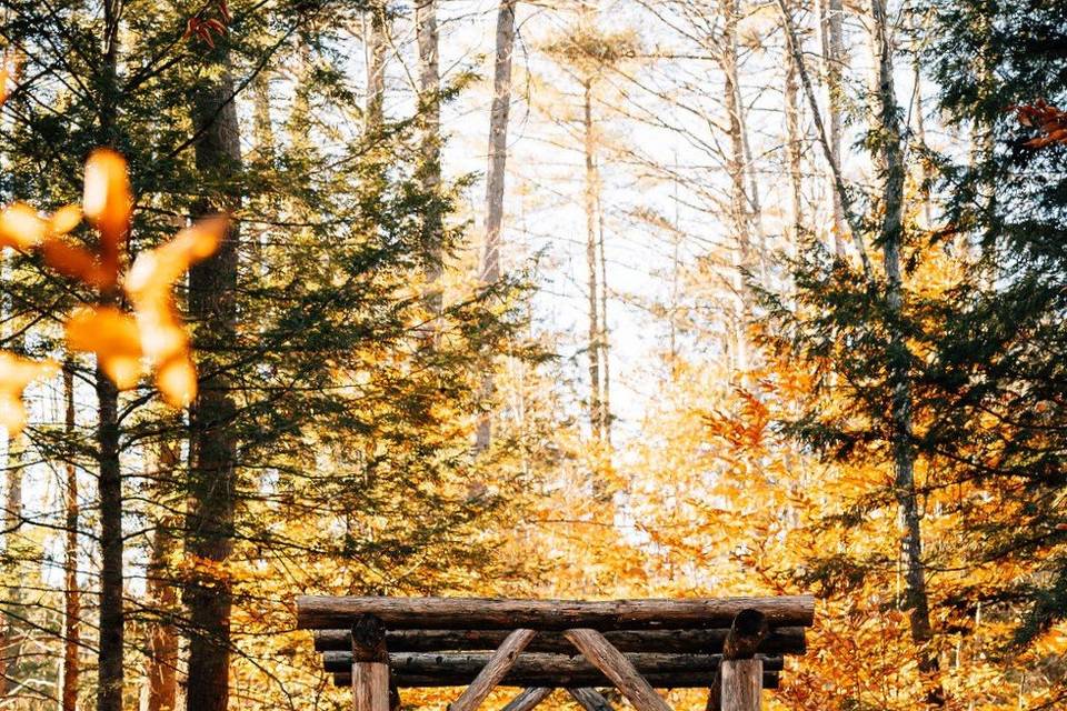 Pergola in the Fall