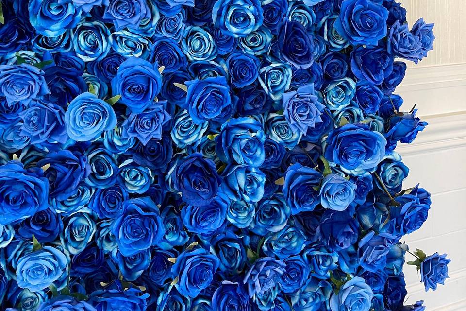 Blue flowerwall 8x8ft by FWR