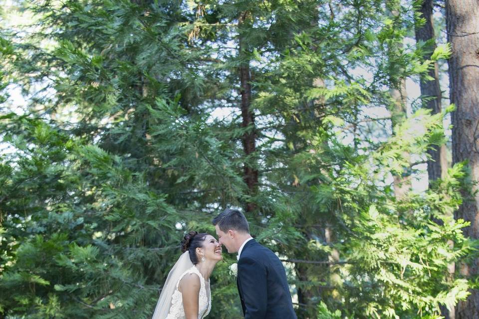 Forest Wedding