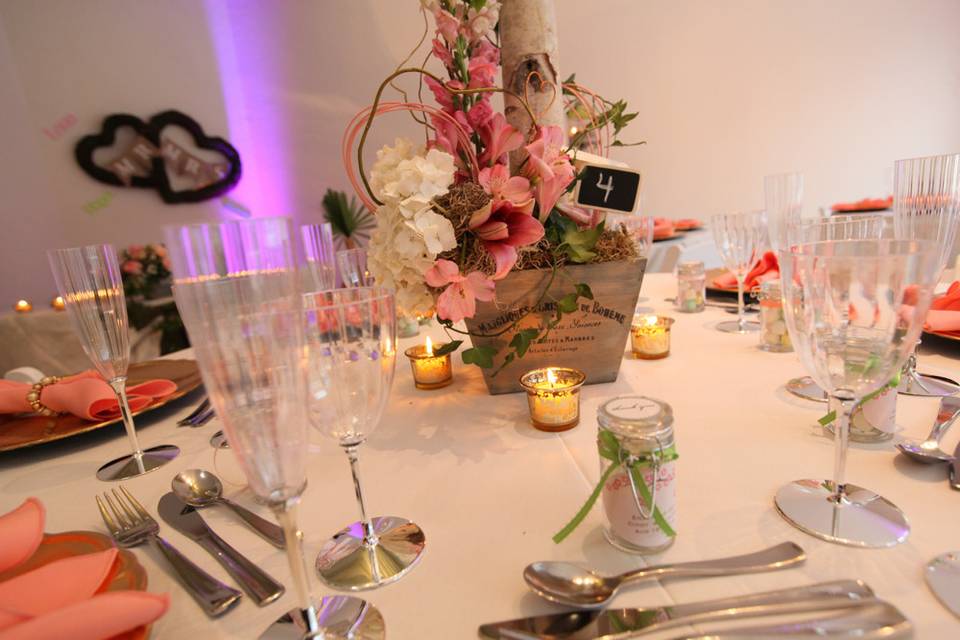 IQ Event Planning