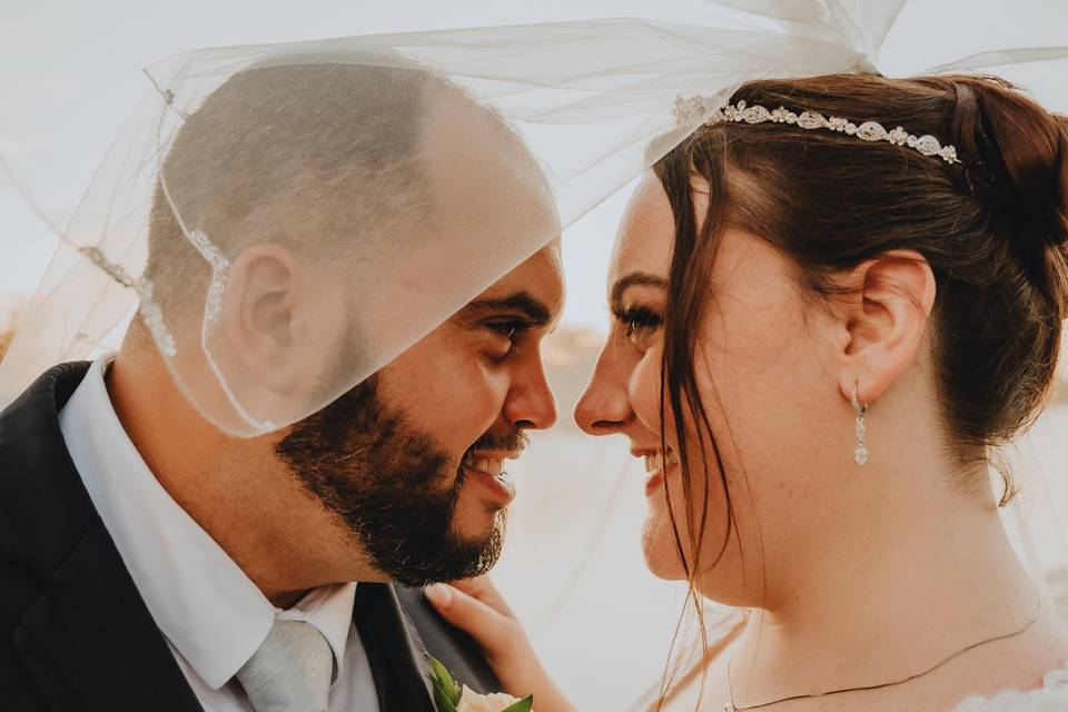 B&G Veil Photo