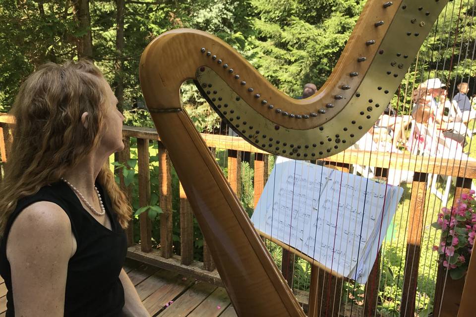Elizabeth Borsodi, Harpist