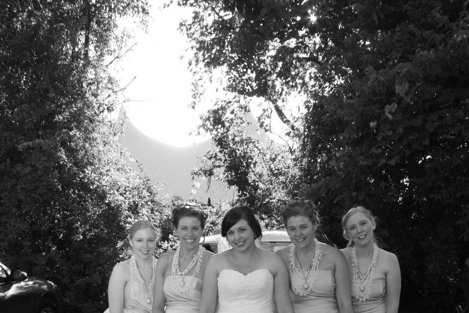 Bride and her bridesmaids