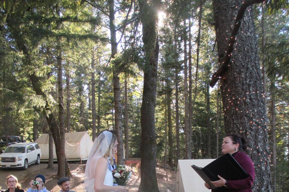 Wedding Ceremonies by Tracey