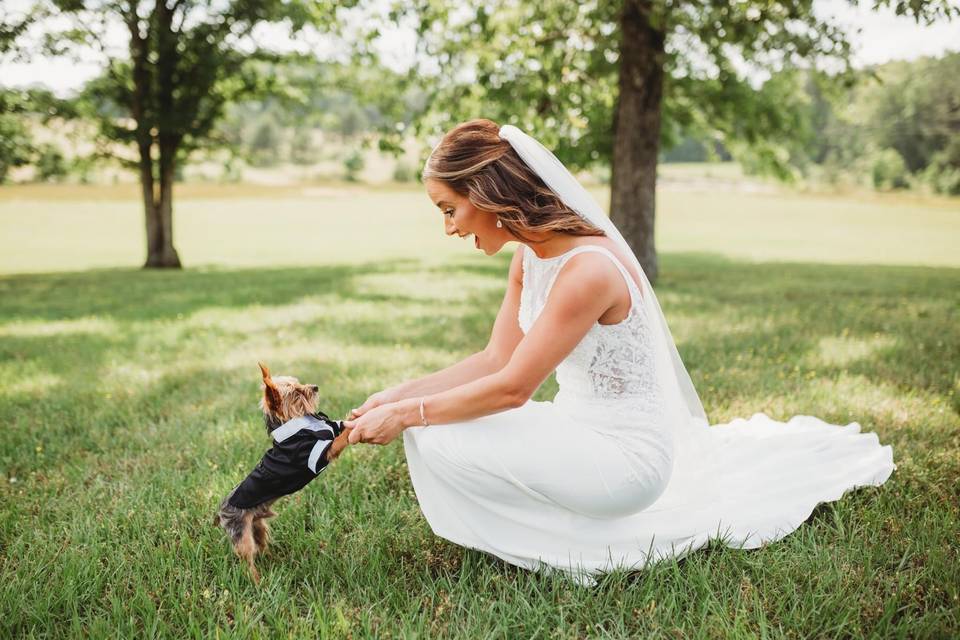 Wedding pup